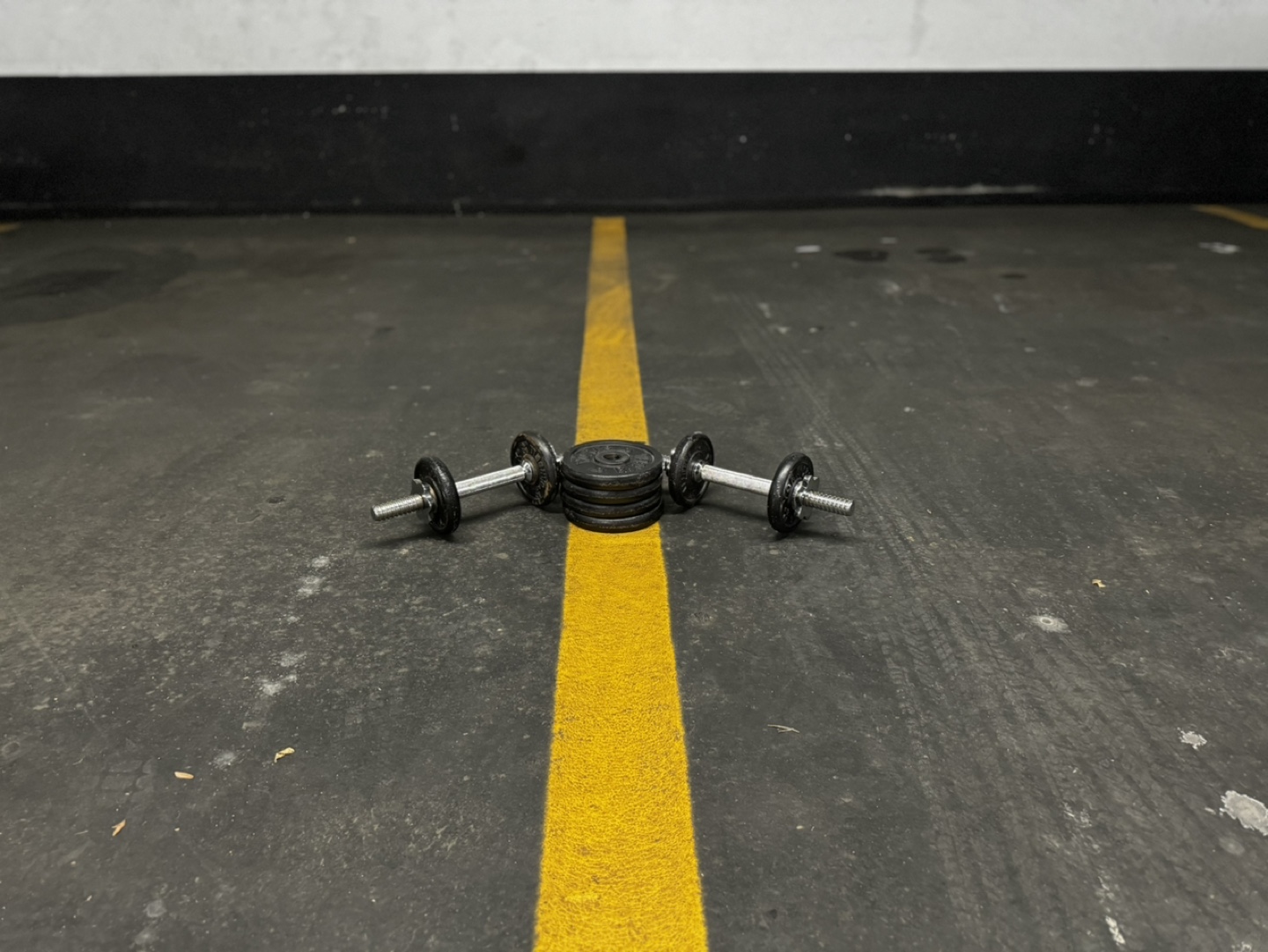 Dumbbells - photo 3