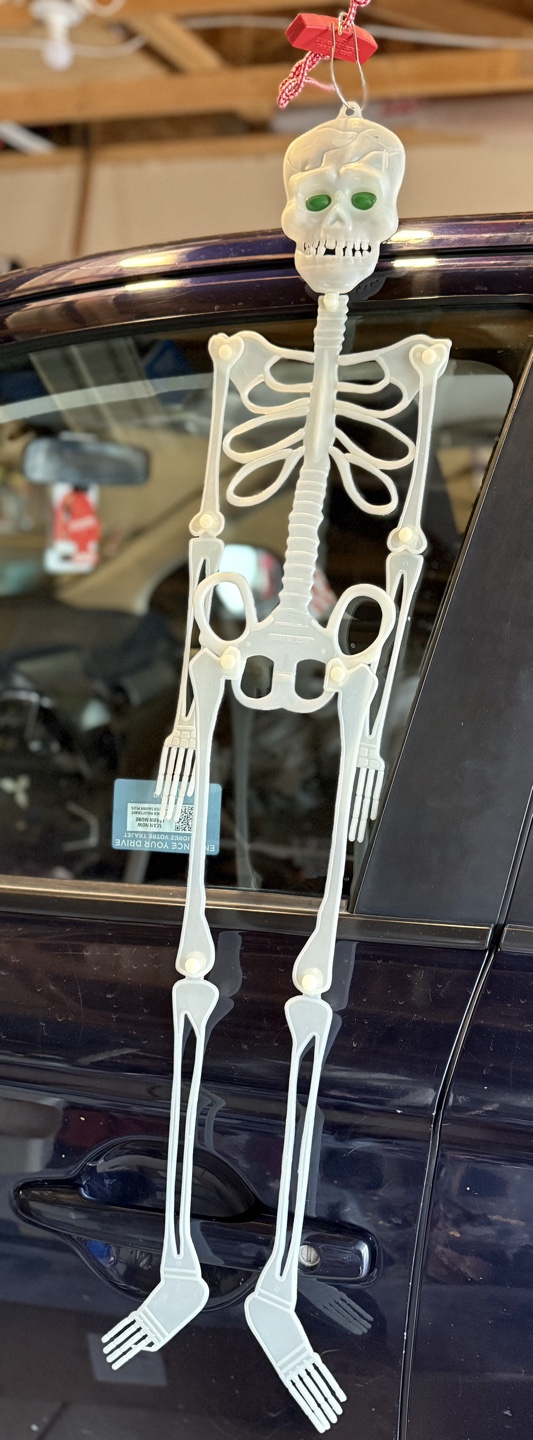 Hanging Skeleton Decoration with light