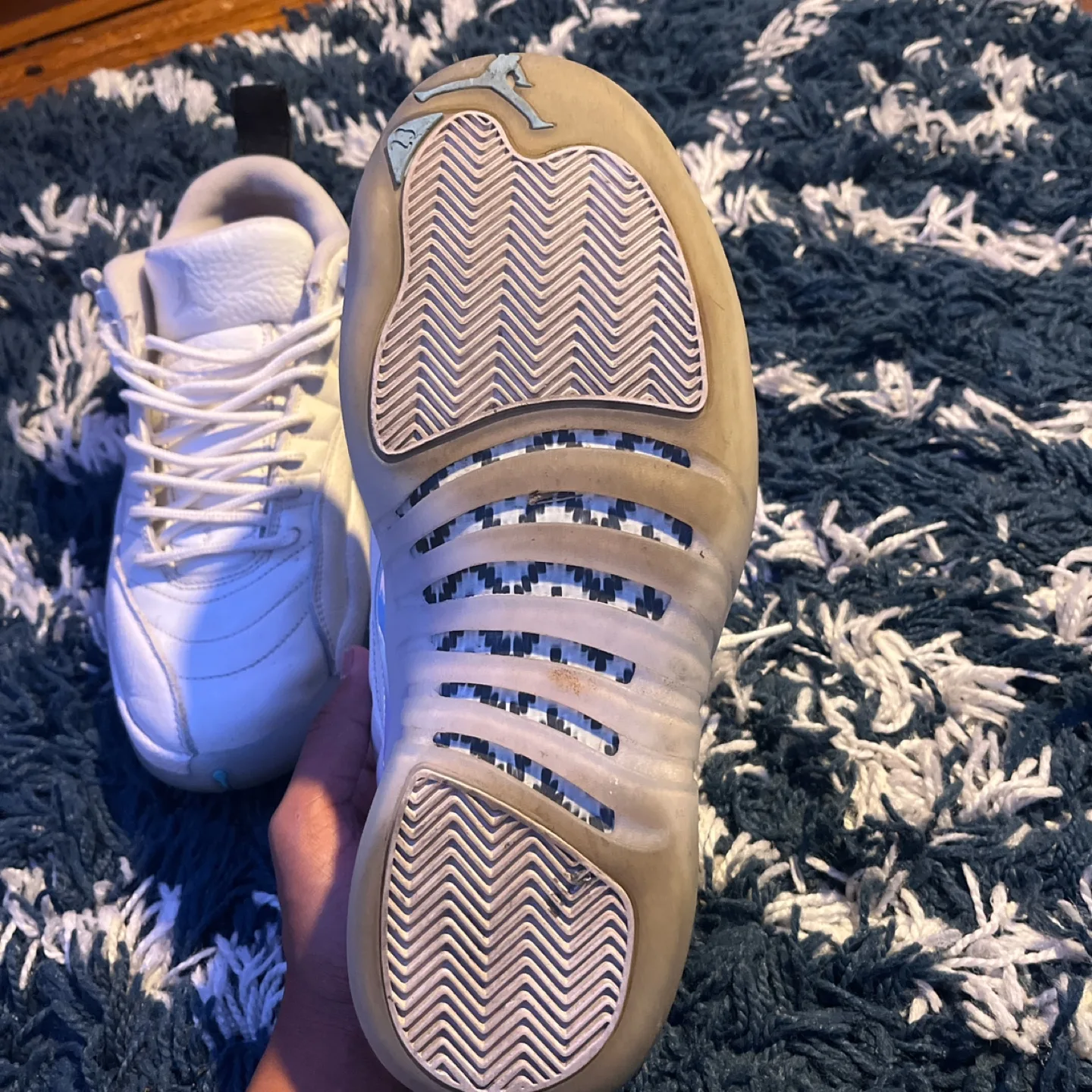 Air Jordan 12 Retro Easter image indicator(5)