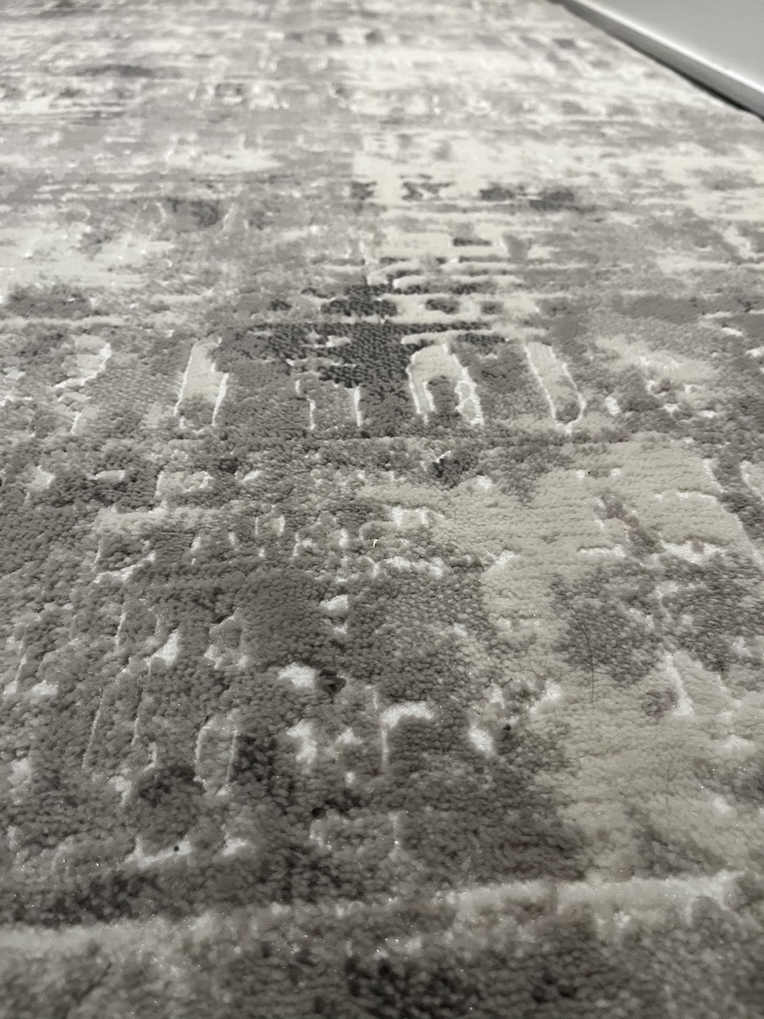 NEW Rug - photo 3