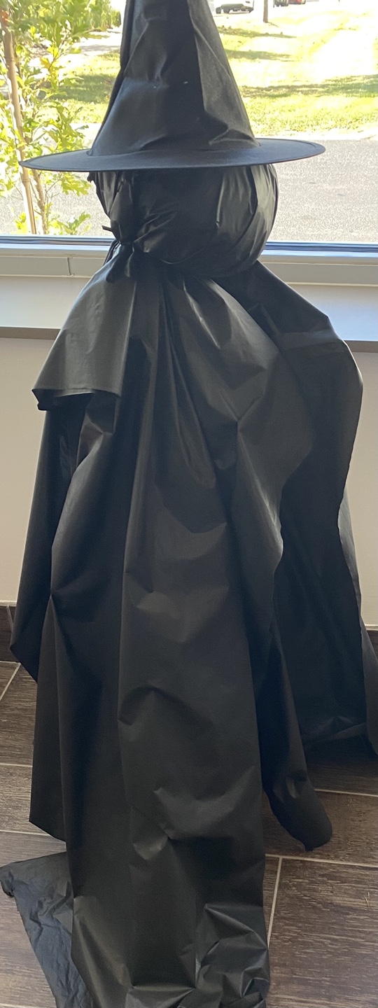 Black Witch Costume