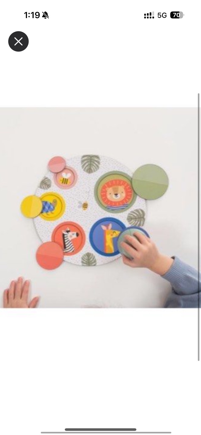Magnetic Animal Matching Game