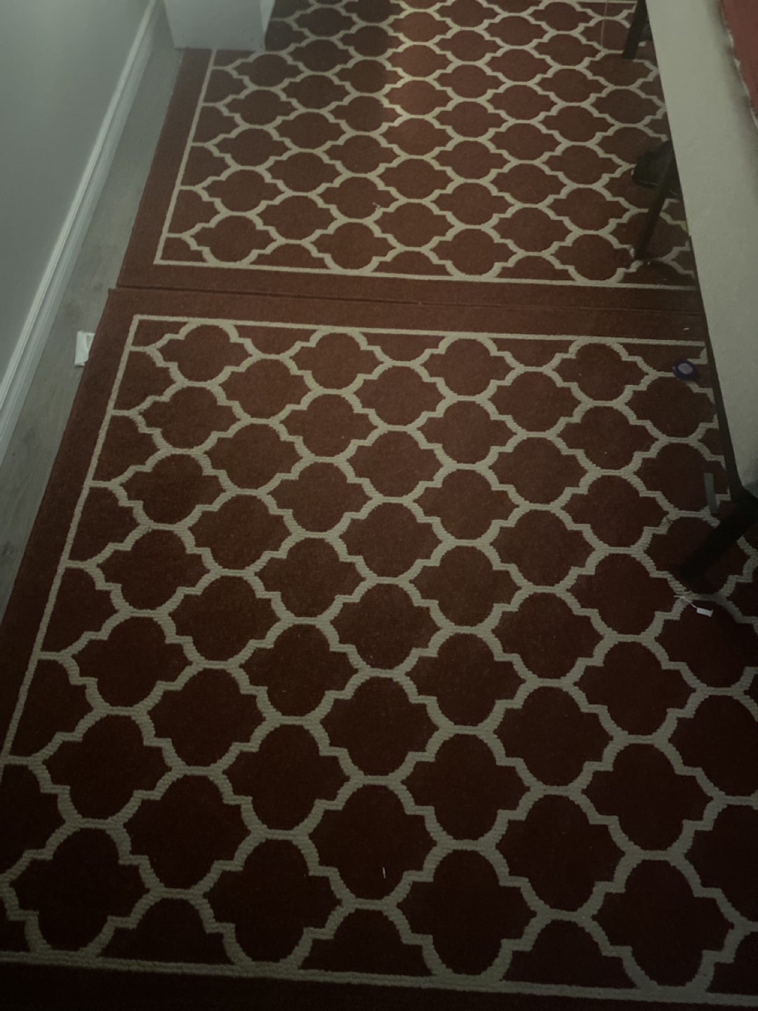 Red and White Area Rug