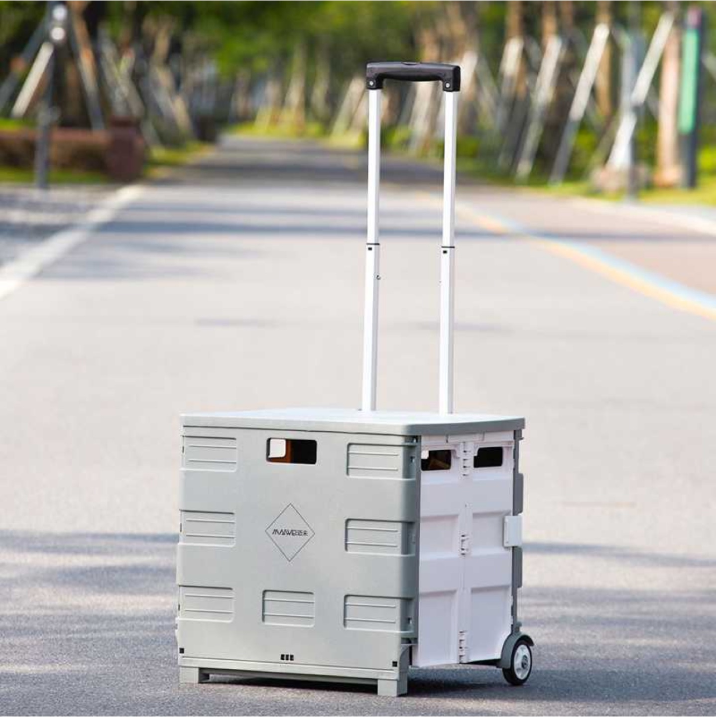 Foldable Shopping Cart 55L