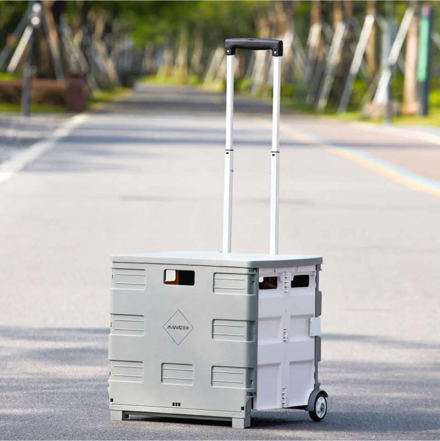 Foldable Shopping Cart 55L thumbnail
