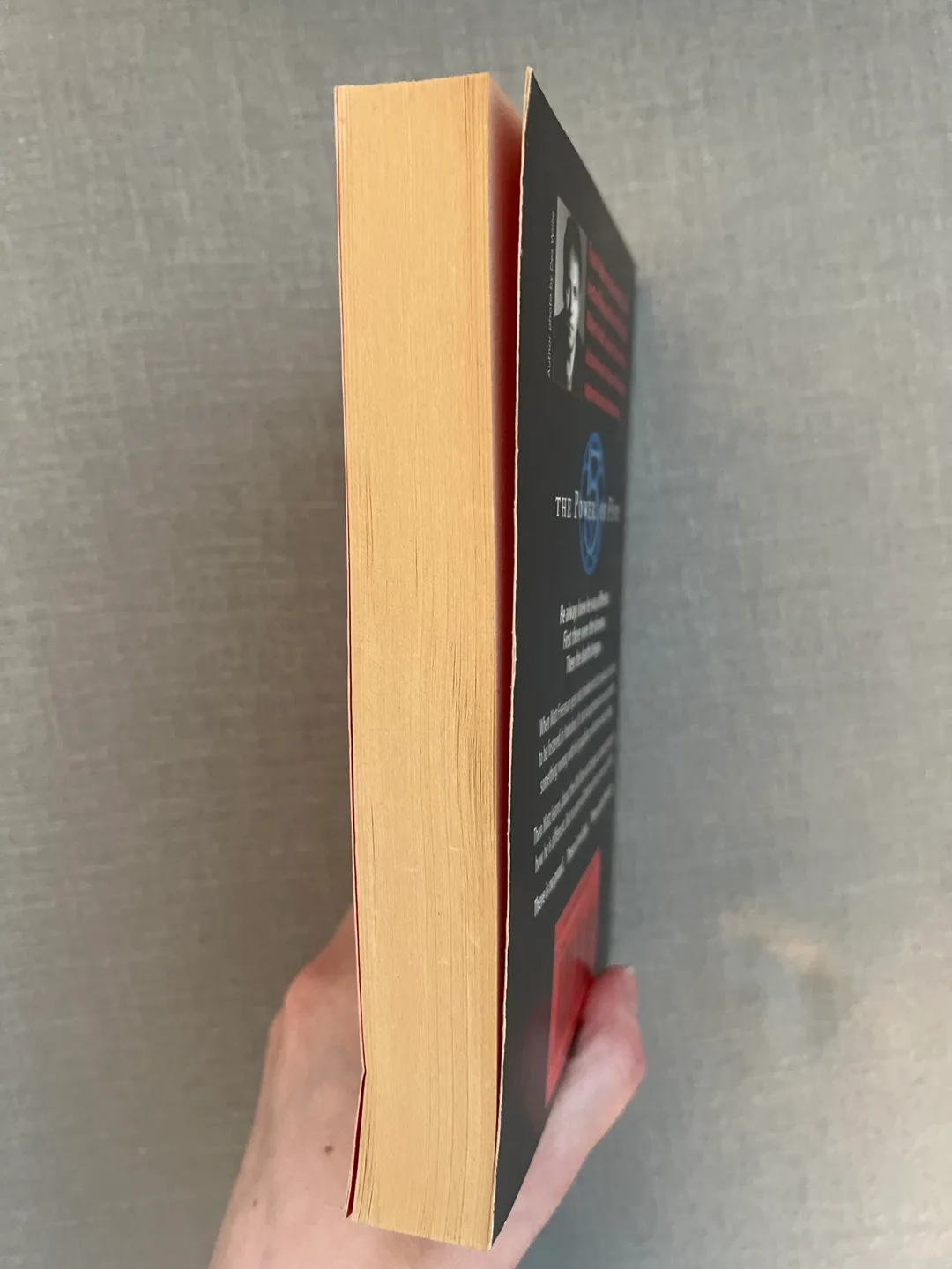 Raven's Gate - The Power of Five Book 1 image indicator(2)