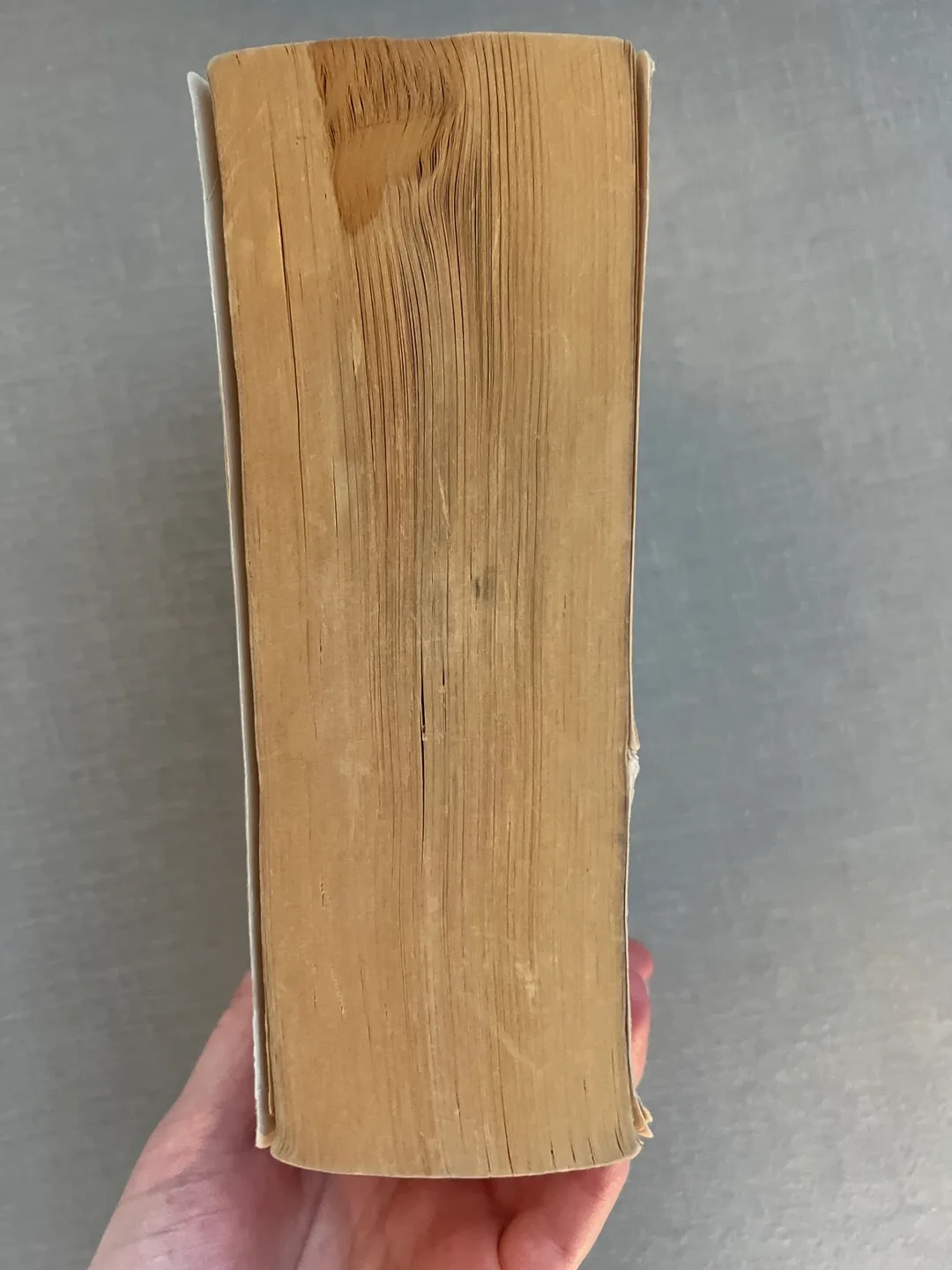 The Lord of the Rings trilogy by J.R.R. Tolkien image indicator(2)