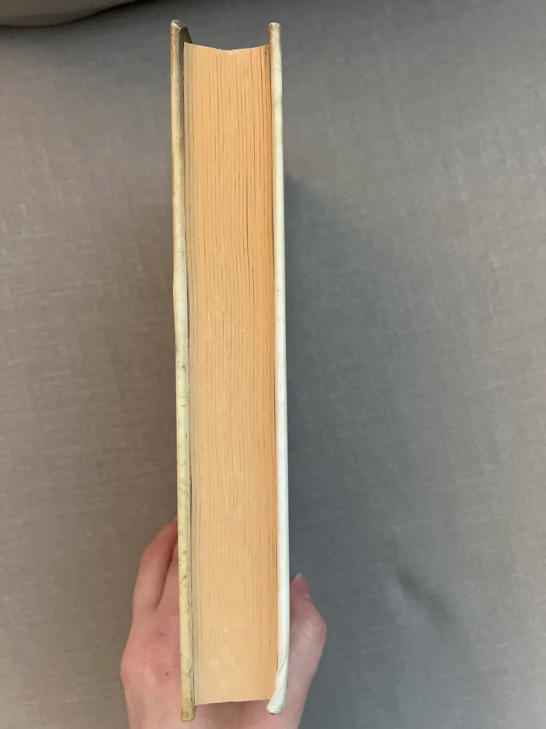 Water for Elephants Paperback Book image indicator(2)