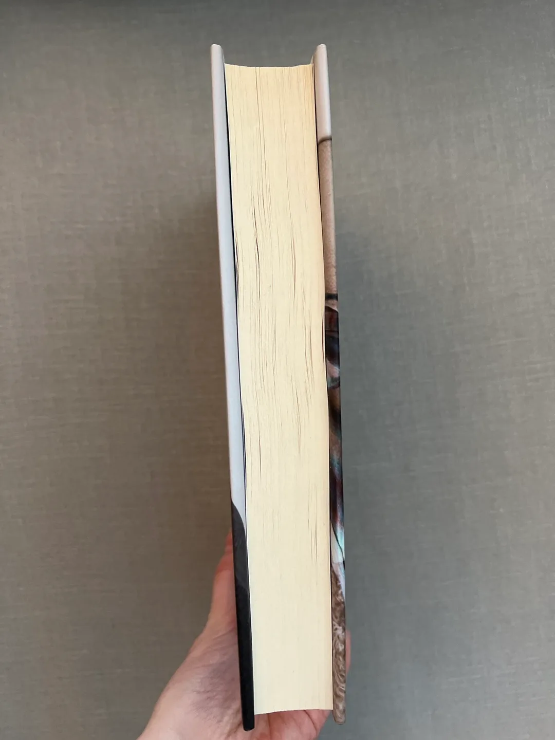 Dave Grohl - The Storyteller: Tales of Life and Music image indicator(2)