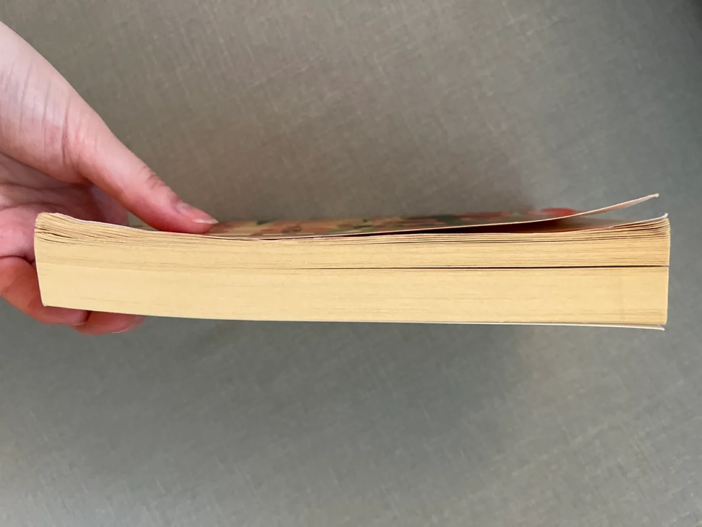 Dear Life: Stories by Alice Munro image indicator(2)