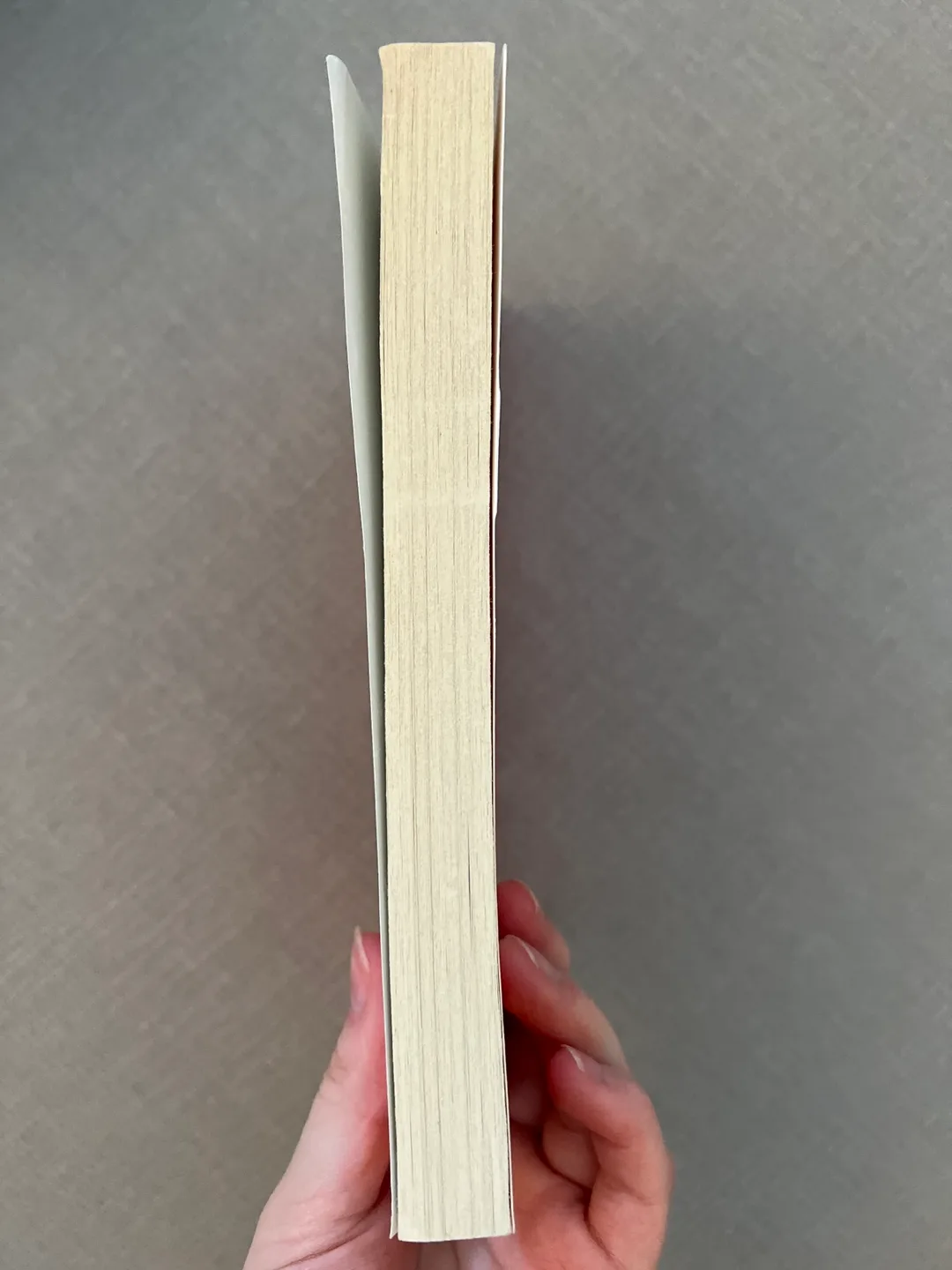 The Curious Incident of the Dog in the Night-Time Paperback Book image indicator(2)