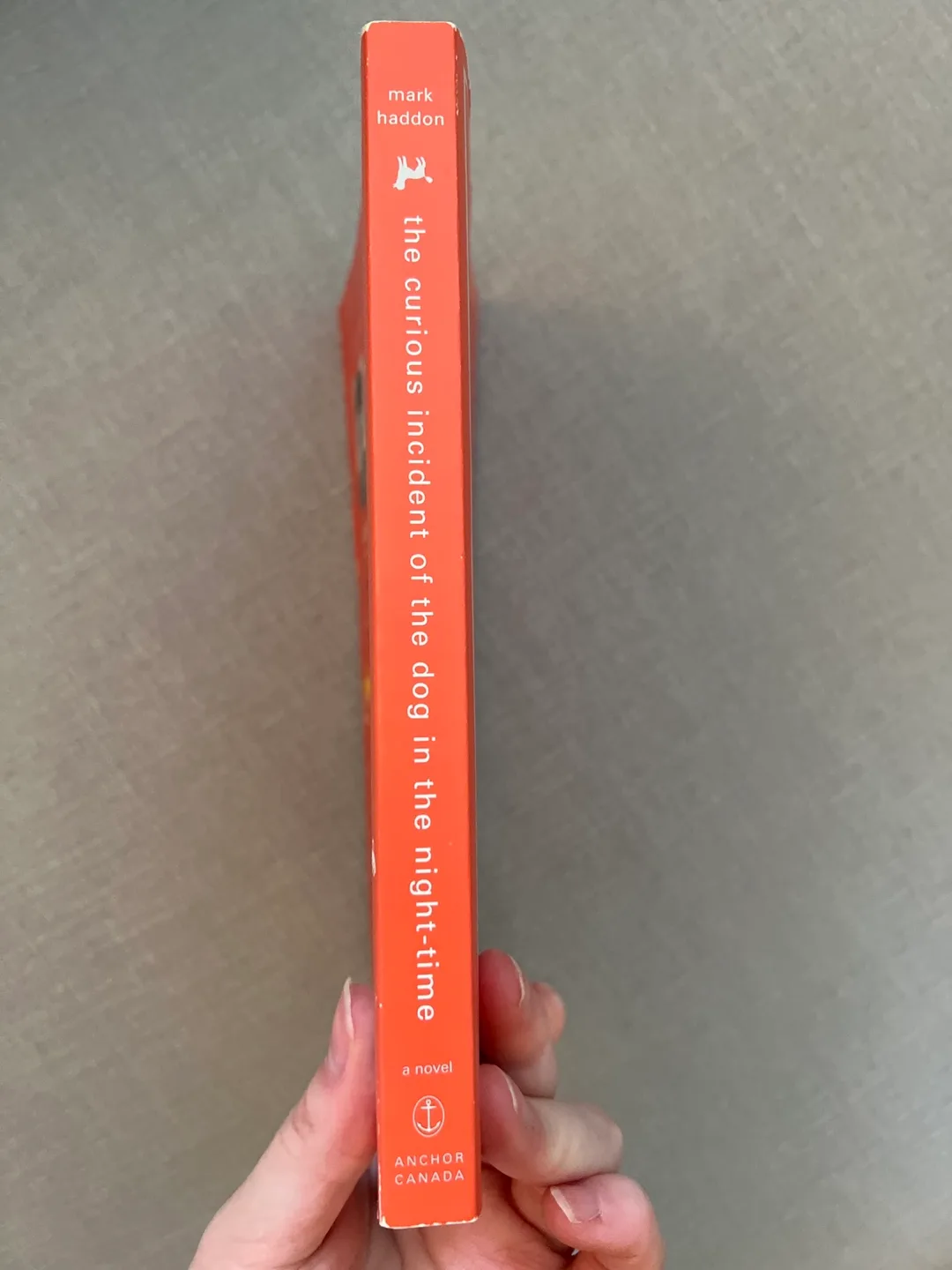 The Curious Incident of the Dog in the Night-Time Paperback Book image indicator(4)