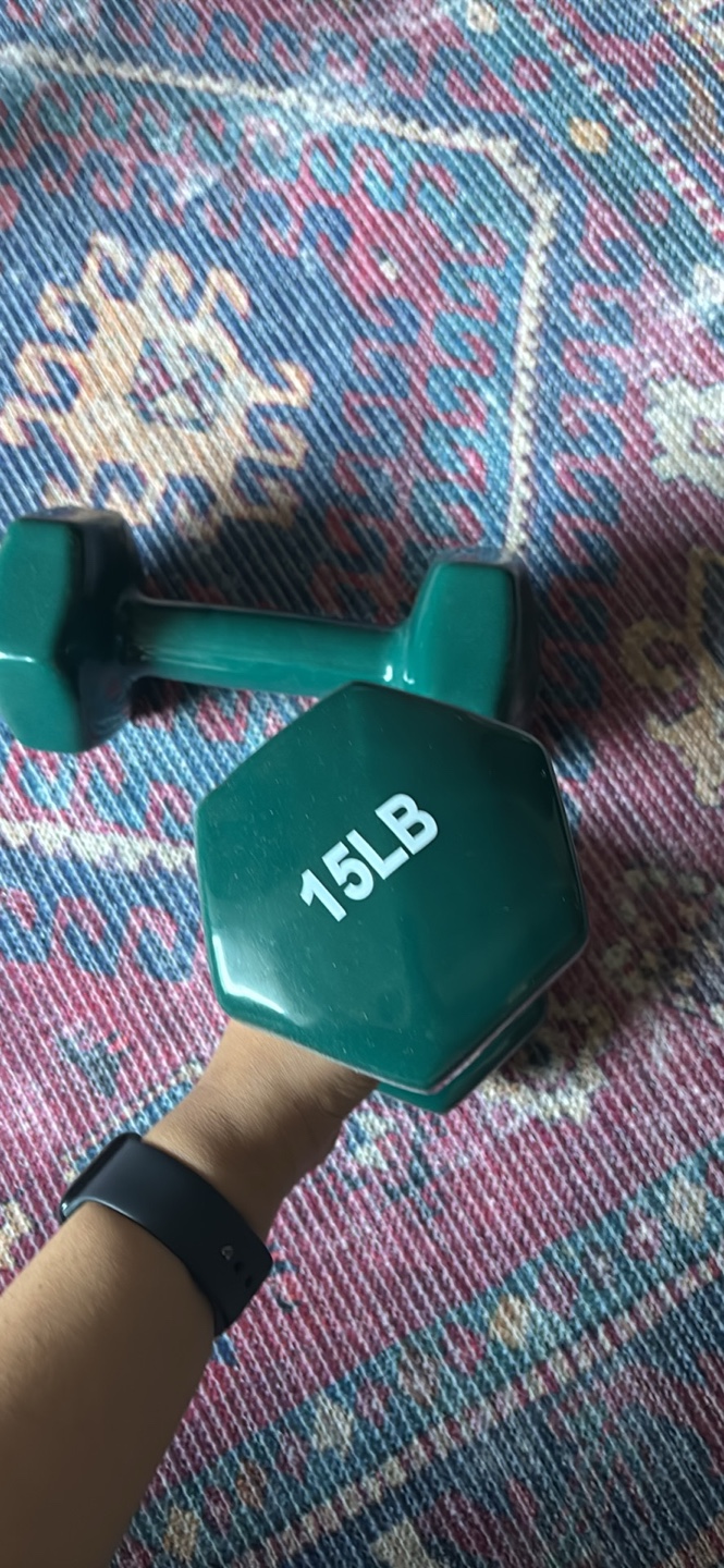 30lbs (15lb each) Dumbbells