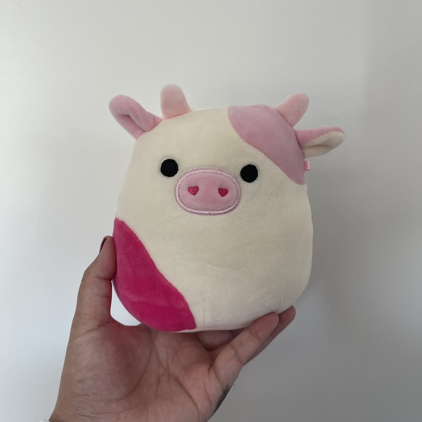 5” Caedyn Squishmallow