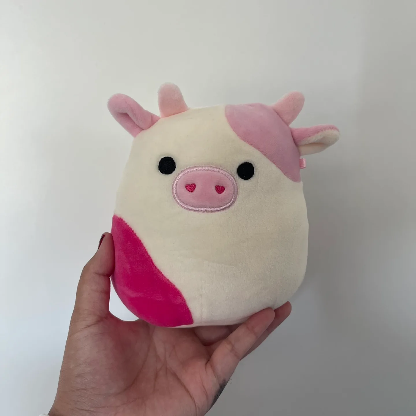 5” Caedyn Squishmallow thumbnail