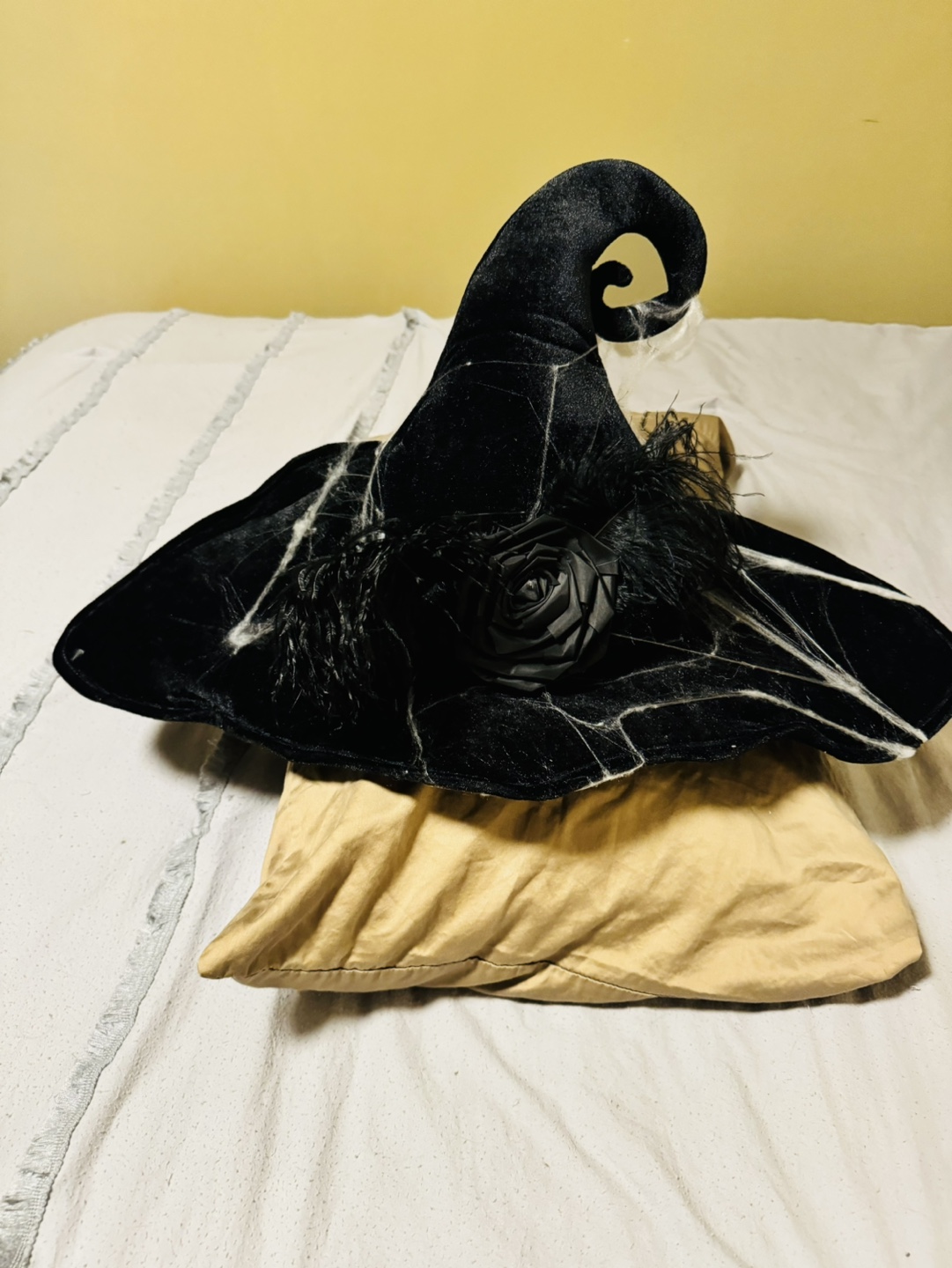 #FREE CYCLE - Black Witch Hat with Feathers and Green Ribbon - photo 2