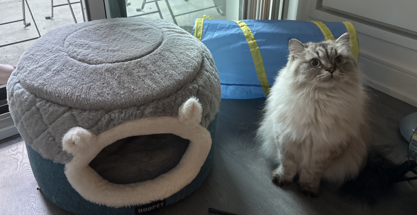 Cat house Cat Bed - photo 2