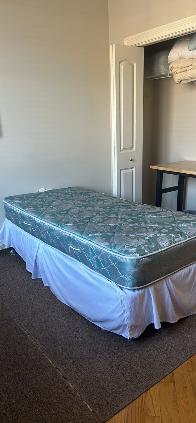 Twin Mattress and Box Spring - photo 2