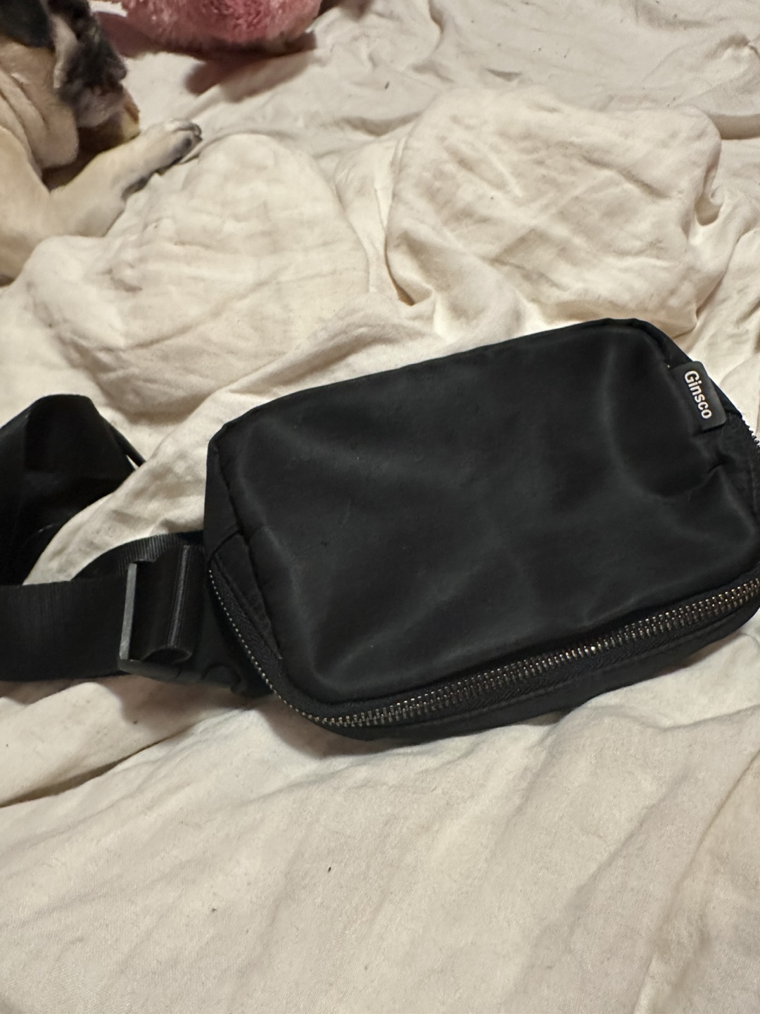 GIMSCO Black Fanny Pack
