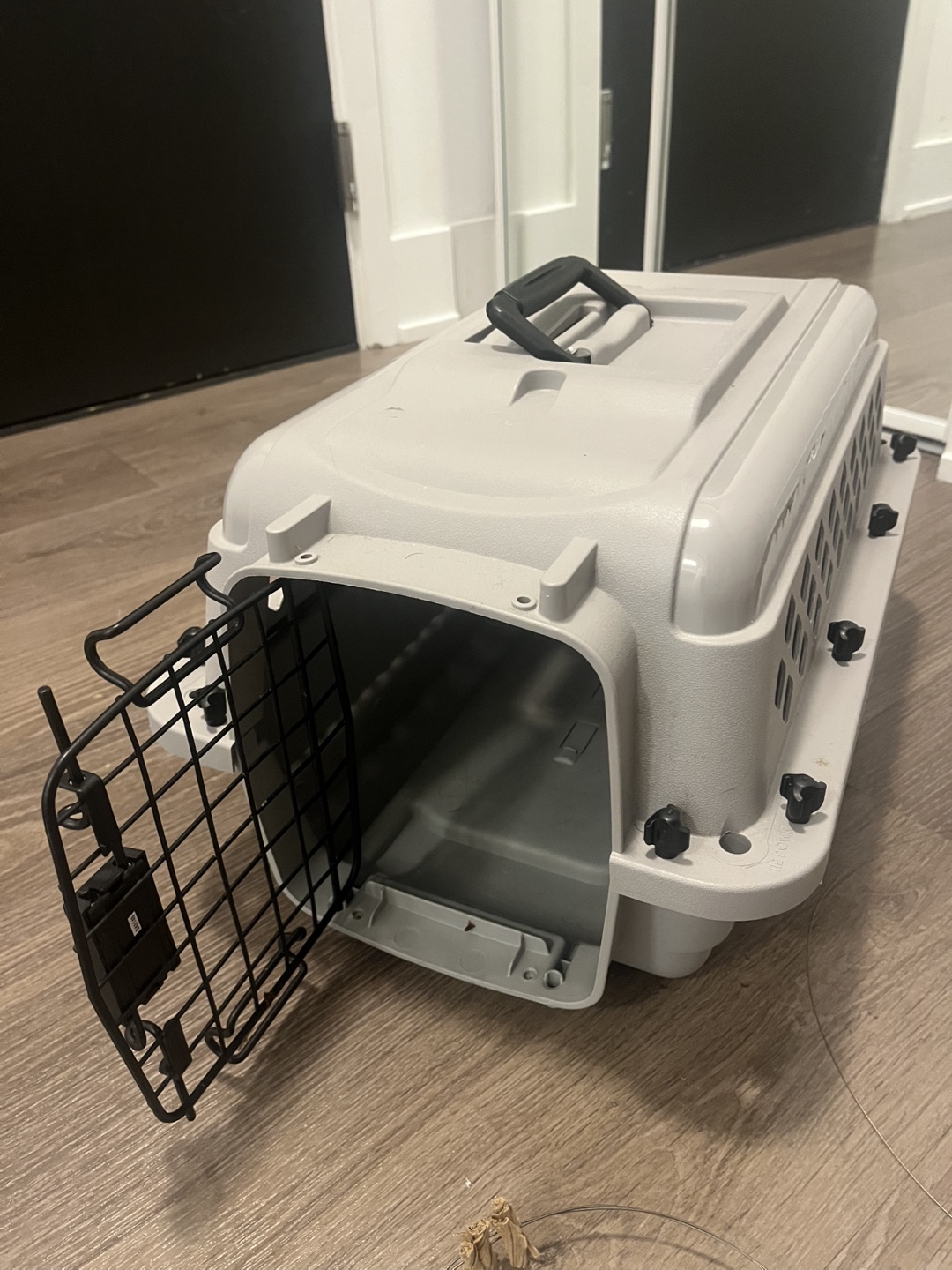 Shell Pet Carrier