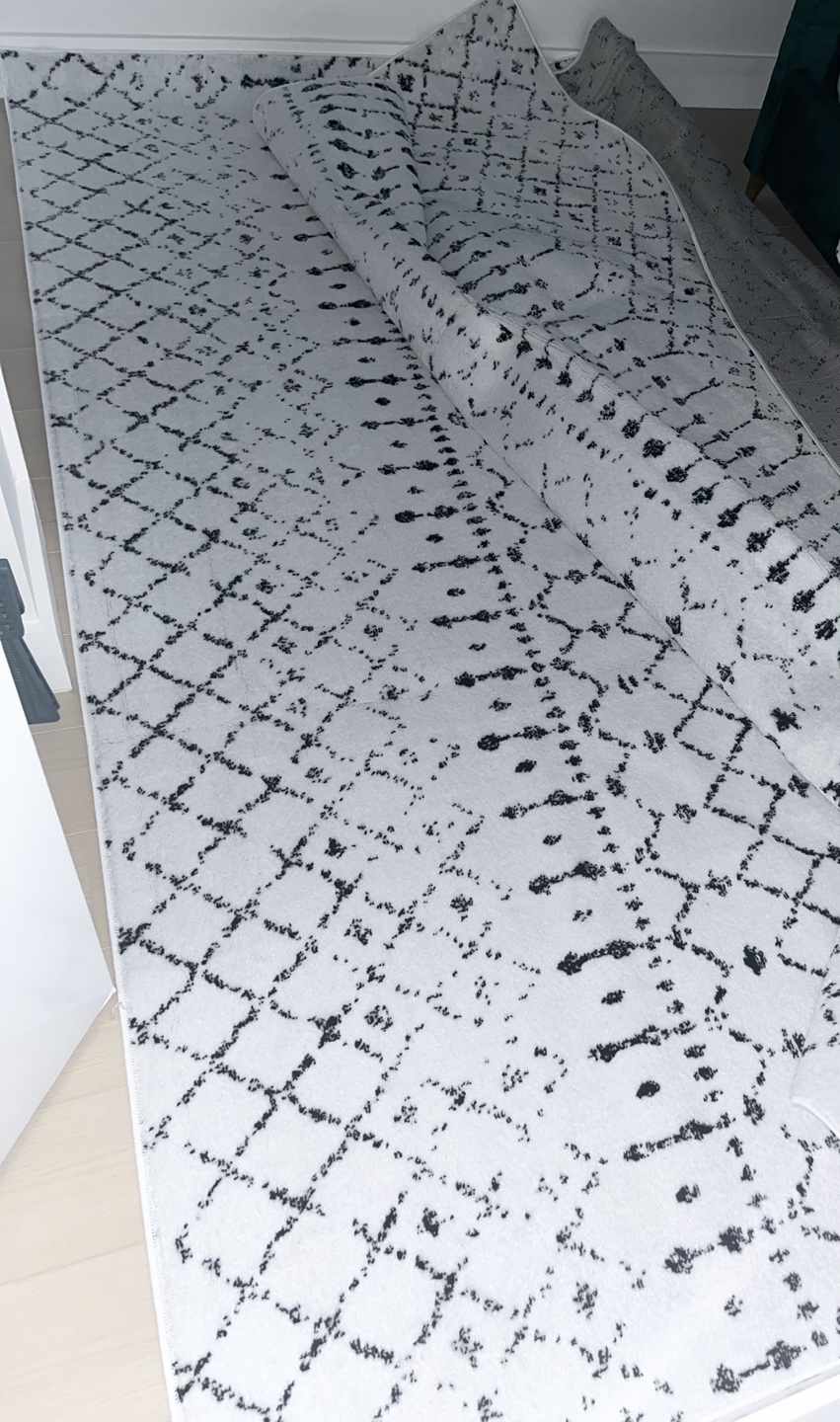 Brand New Moroccan Area Rug - photo 2