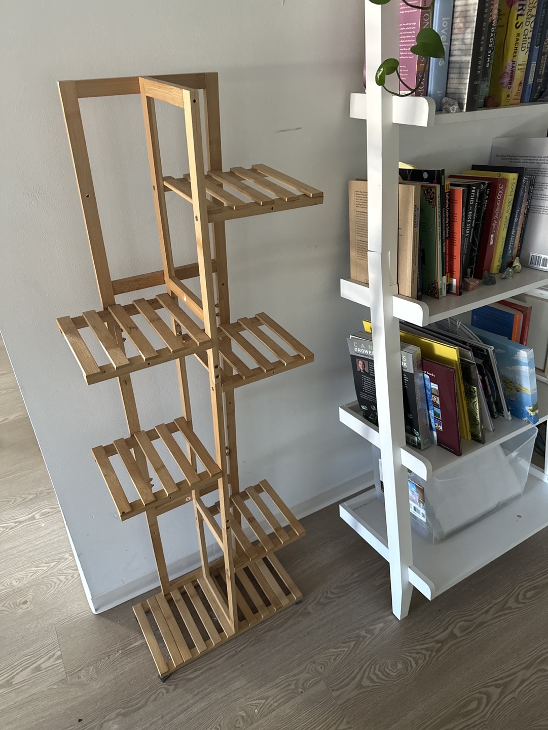 Bamboo Plant Stand
