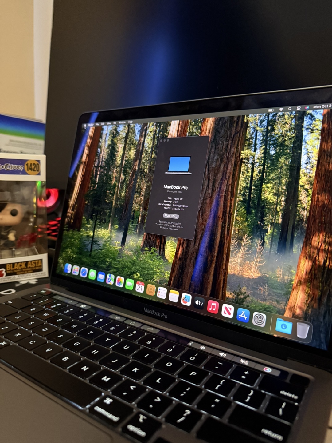 MacBook Pro 13-inch M1 2020 - photo 2