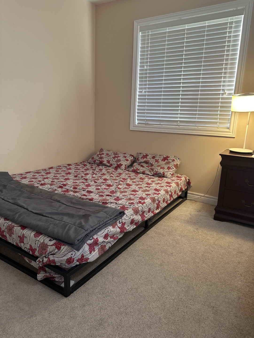 Queen Platform Bed Frame plus mattress