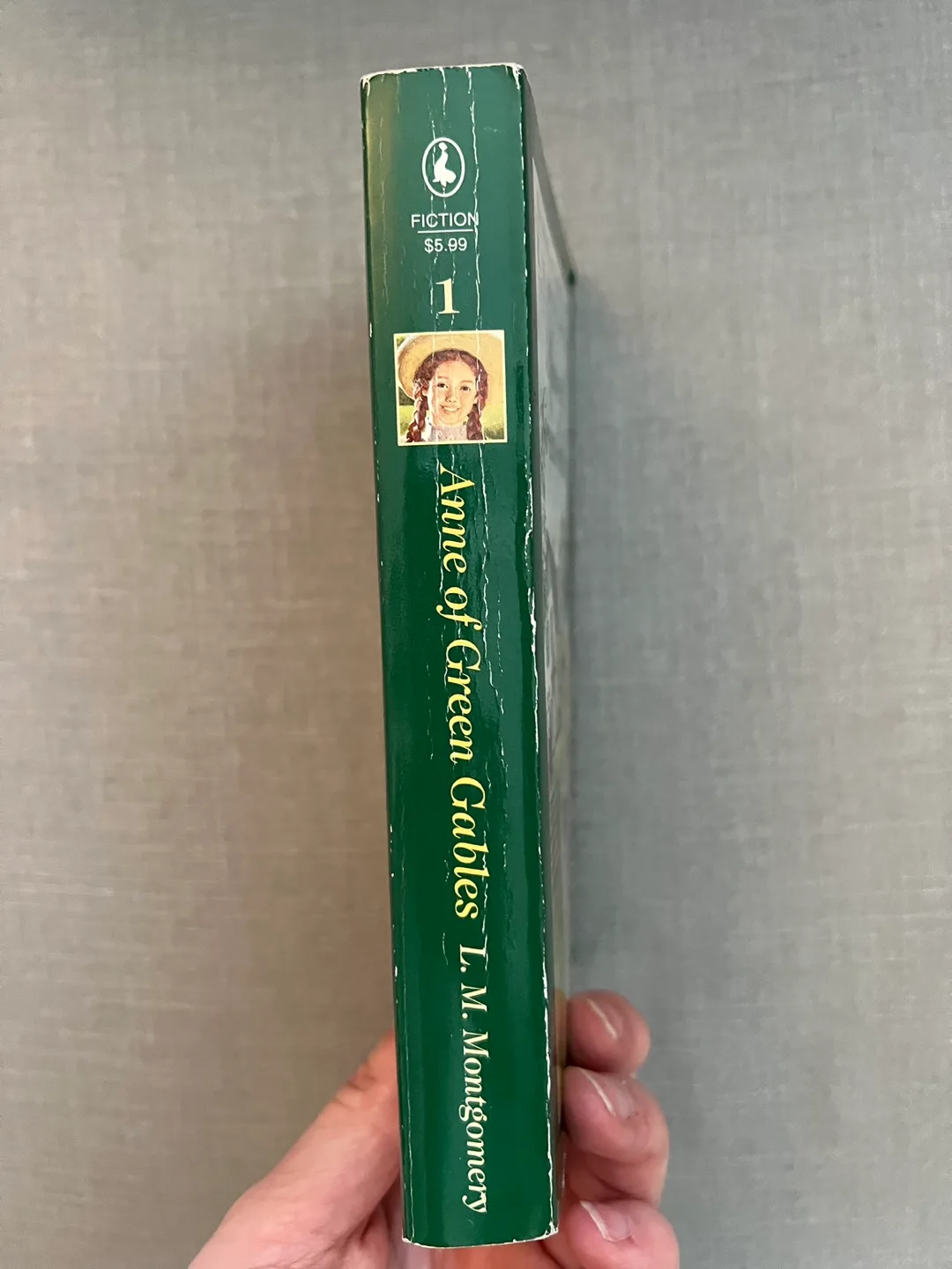 Anne of Green Gables Special Collector's Edition image indicator(4)