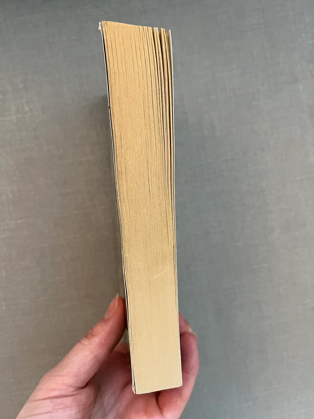 Anne of Green Gables Special Collector's Edition image indicator(2)