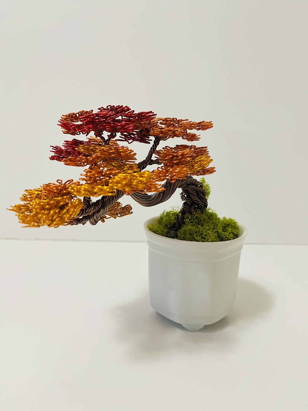 AUTUMN BONSAI WIRE TREE - photo 3