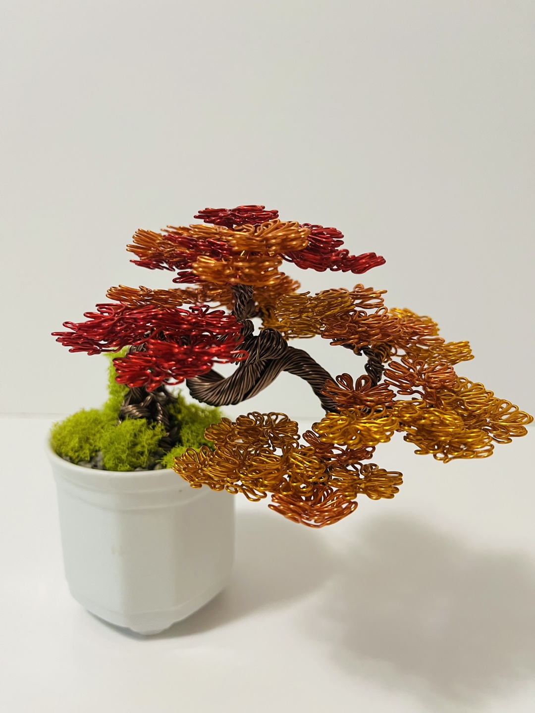 AUTUMN BONSAI WIRE TREE - photo 4
