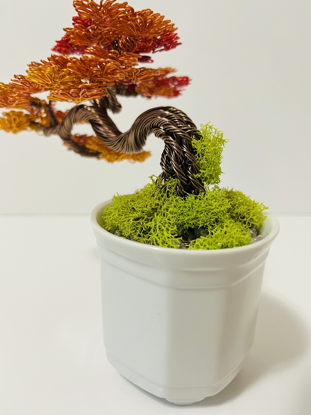 AUTUMN BONSAI WIRE TREE - photo 5