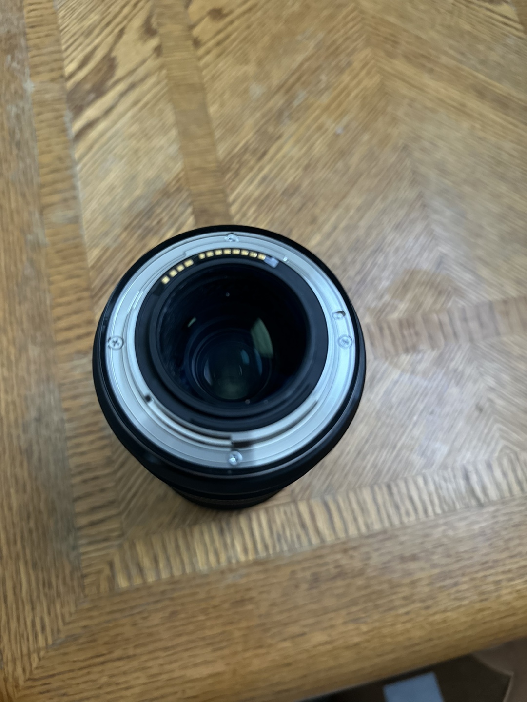 Canon RF 100mm f/2.8L Macro IS USM Lens - photo 4