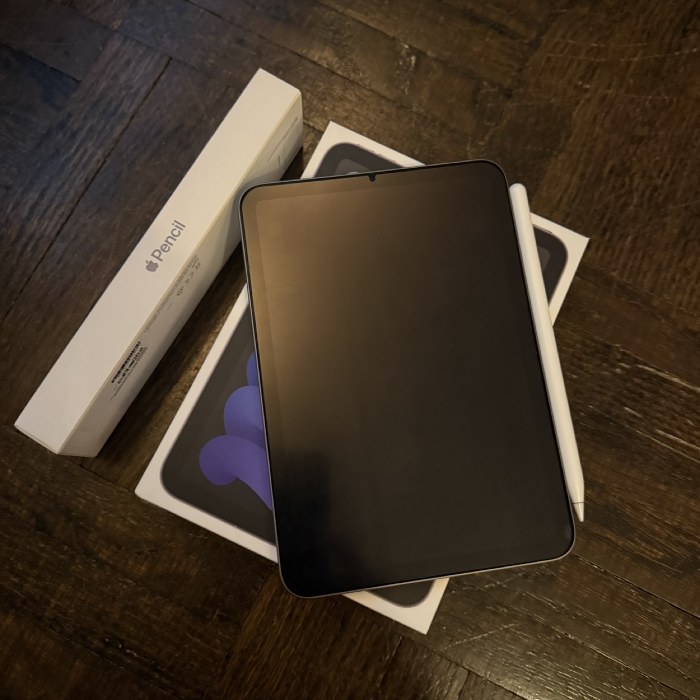 iPad mini 6th Generation with Apple Pencil and case
