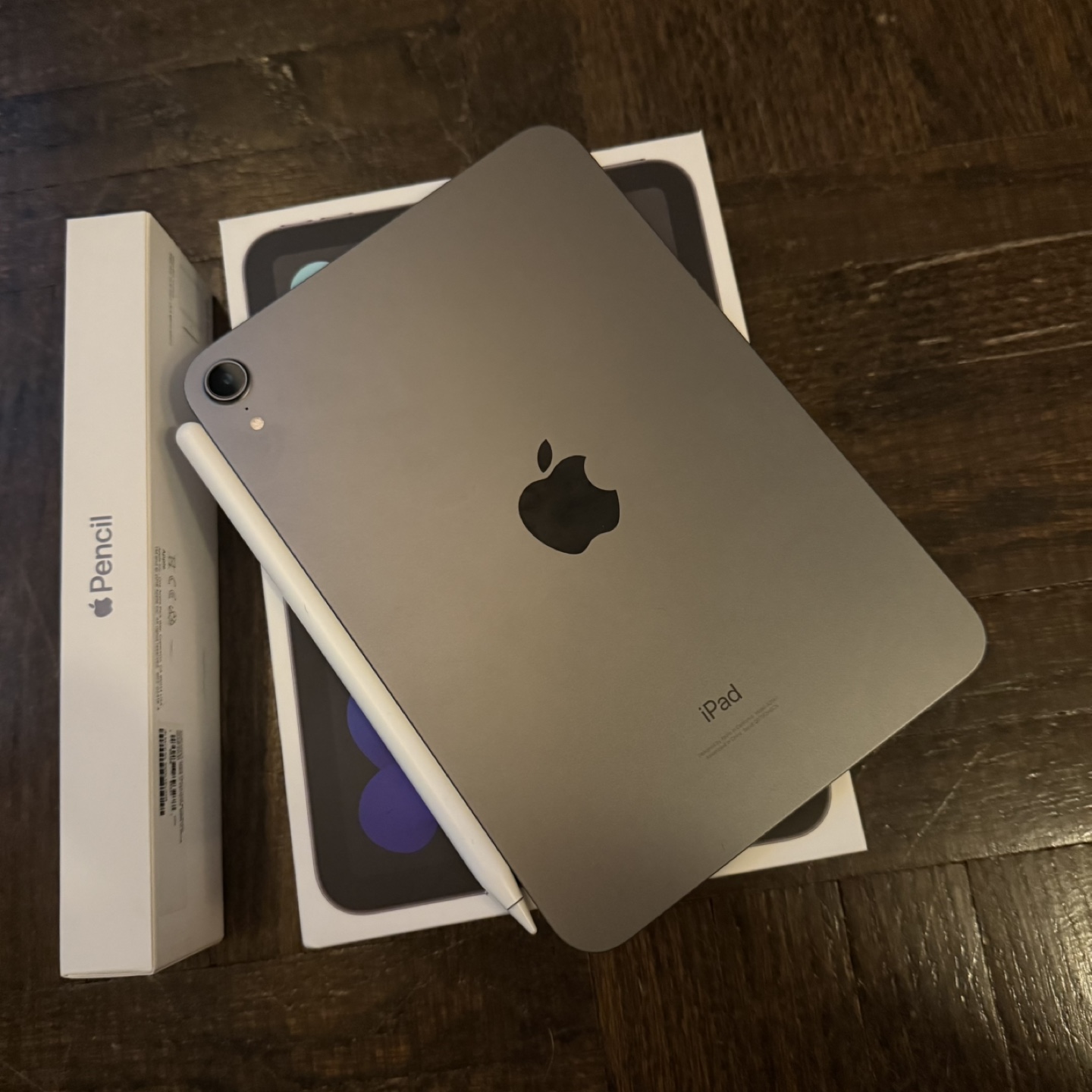 iPad mini 6th Generation with Apple Pencil and case - photo 5
