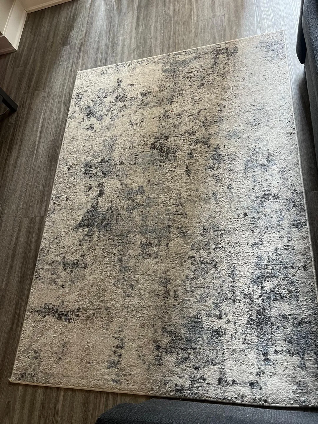 Area Rug thumbnail