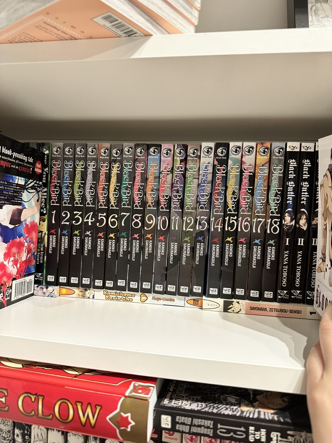 Black Bird Manga Volumes 1-18 - photo 2