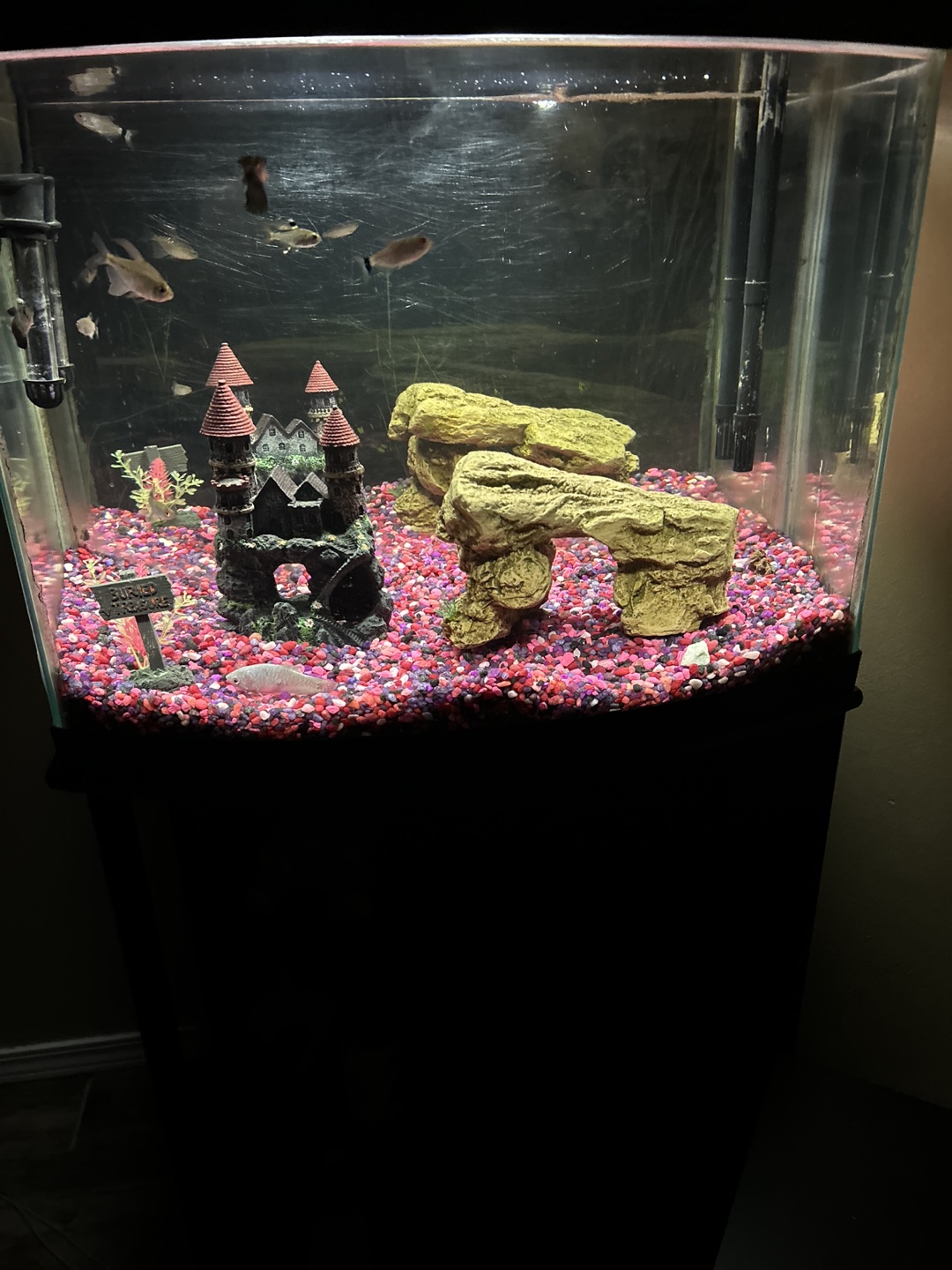 Aquarium