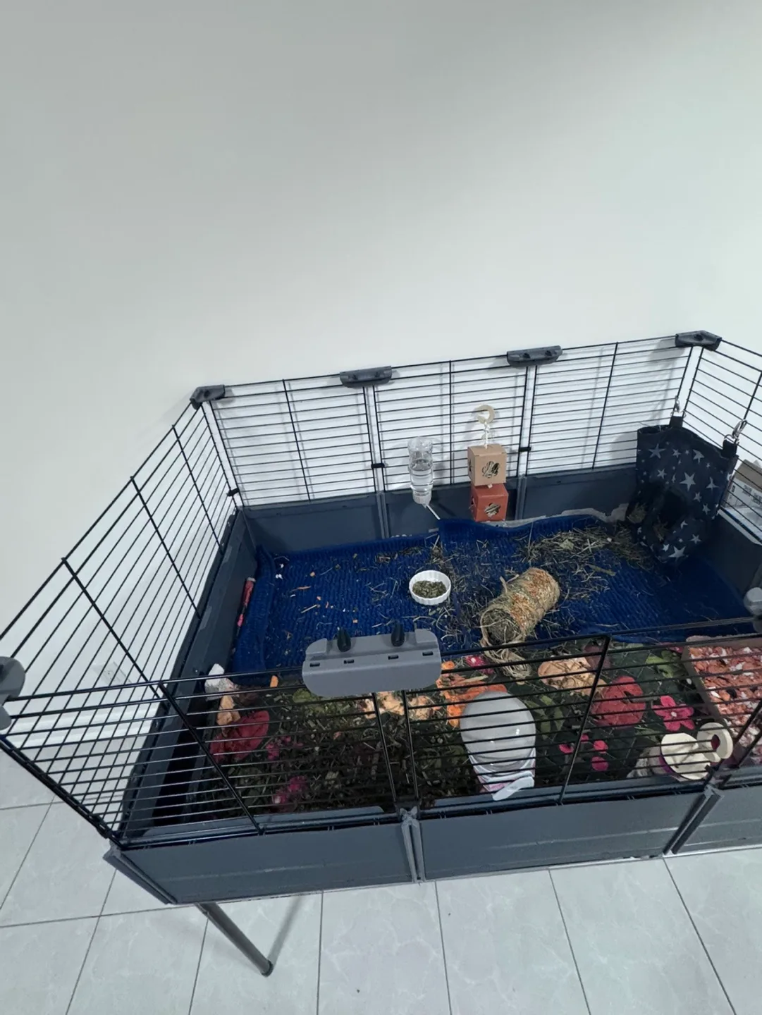 Full Cheeks Customizable Guinea Pig Cage image indicator(3)