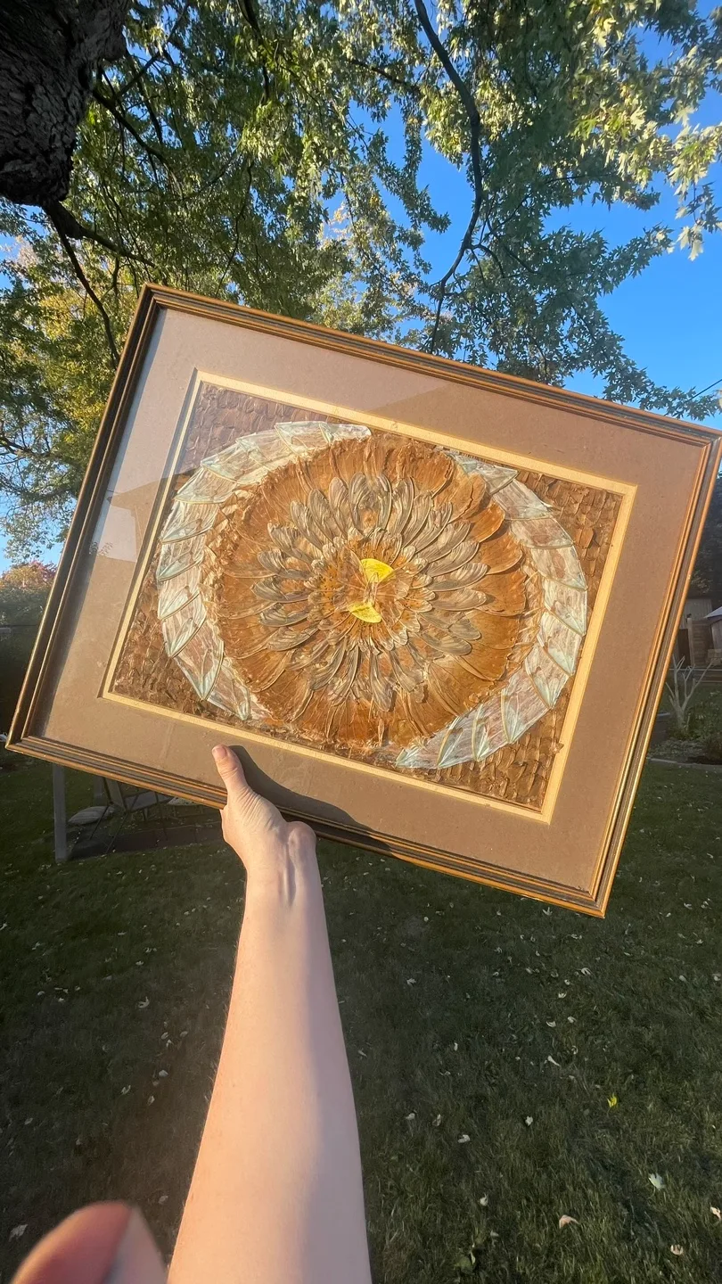 Vintage Framed Butterfly Art thumbnail