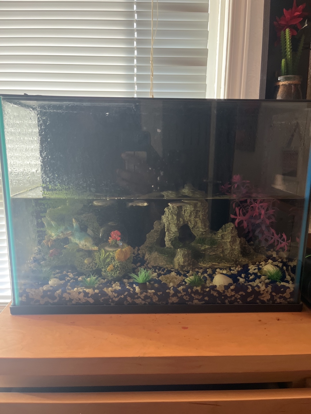 5 gallon Fish Tank with Filter - photo 2