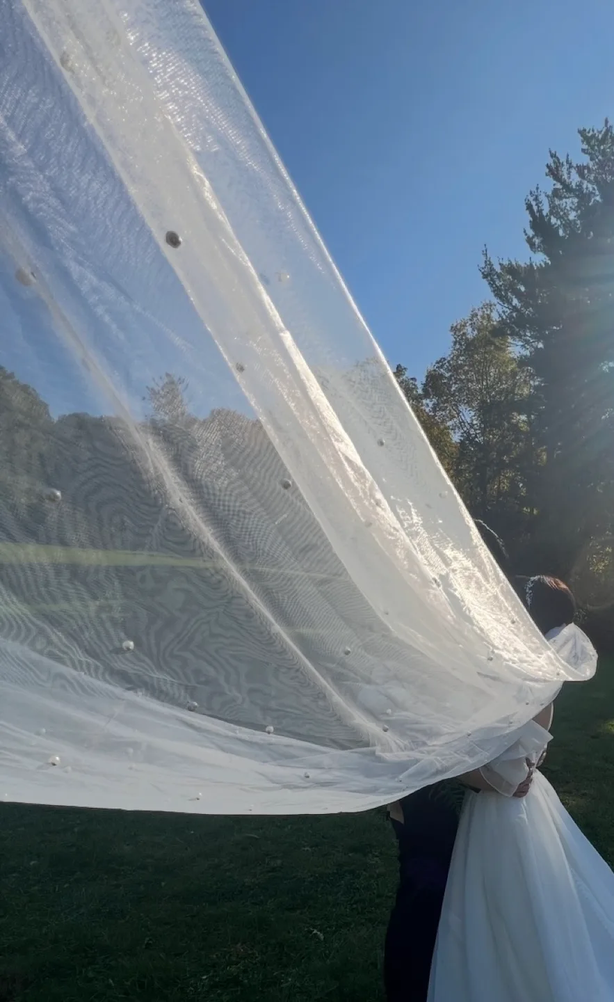 Wedding Veil with Pearls (2m) image indicator(4)