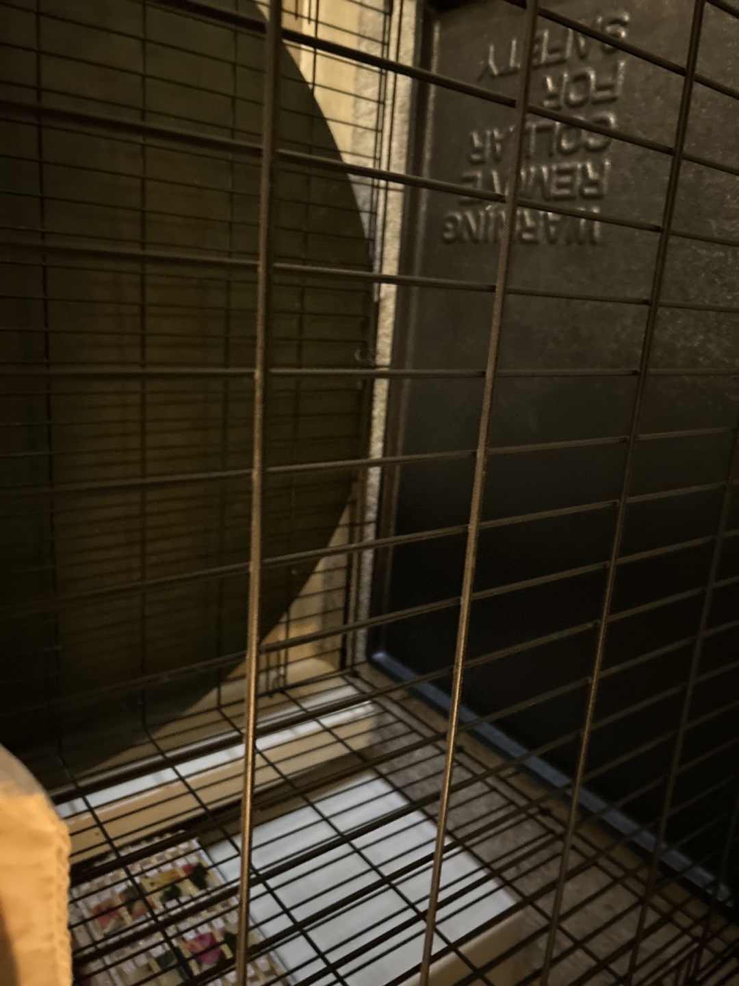 Petmate Dog Crate