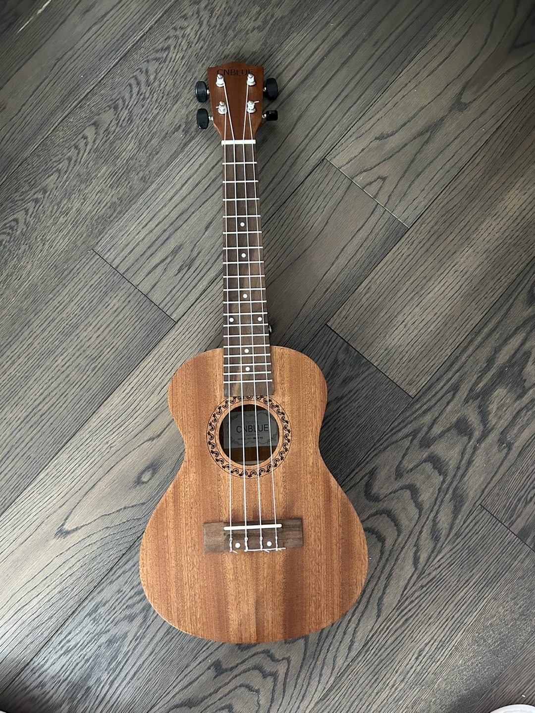 Ukulele with Gig Bag and Strap
