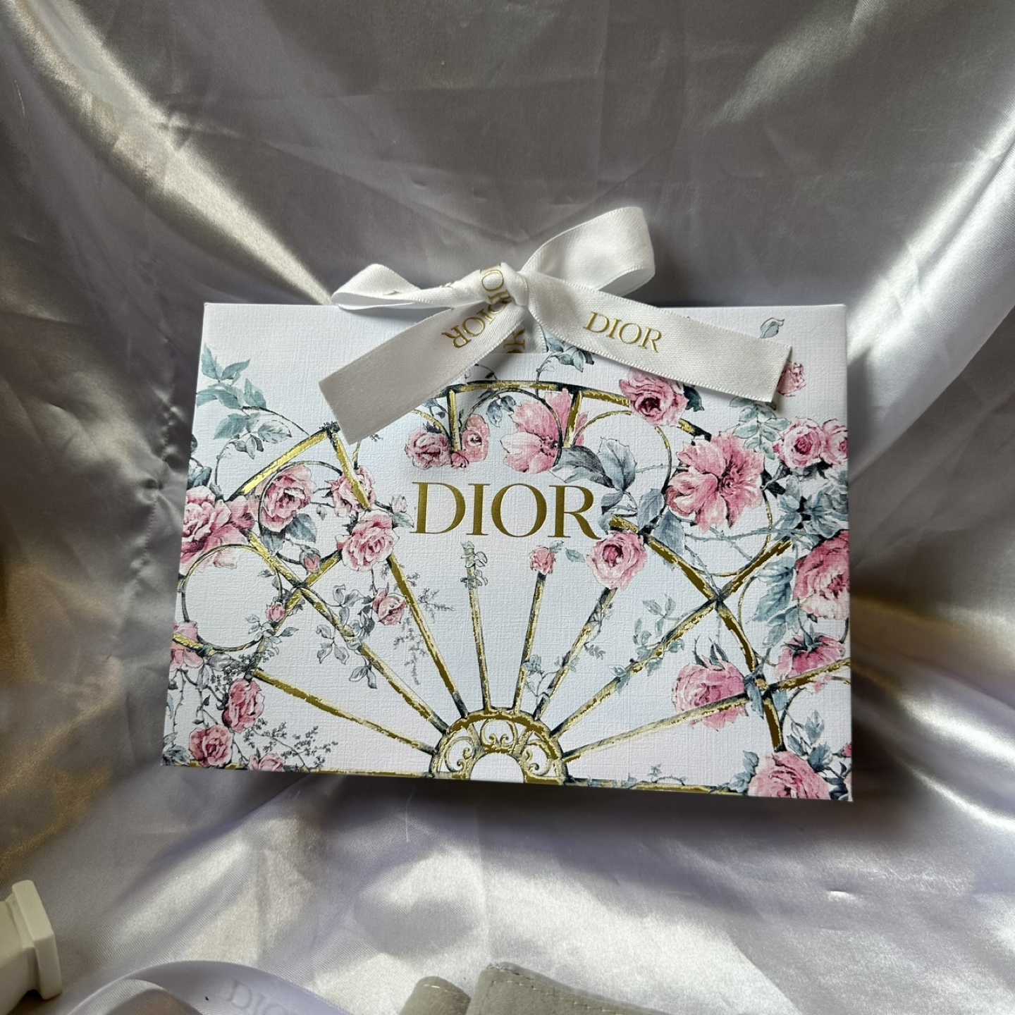 Dior Gift Bag