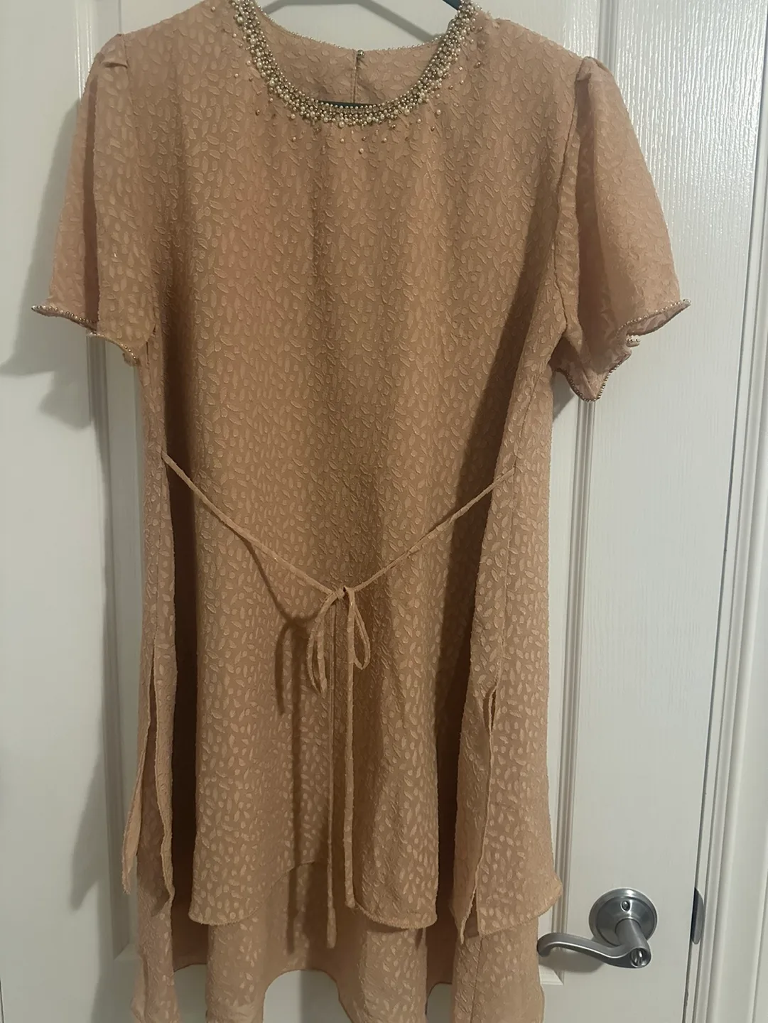 Beige Embroidered Dress with Pearl Detail image indicator(2)