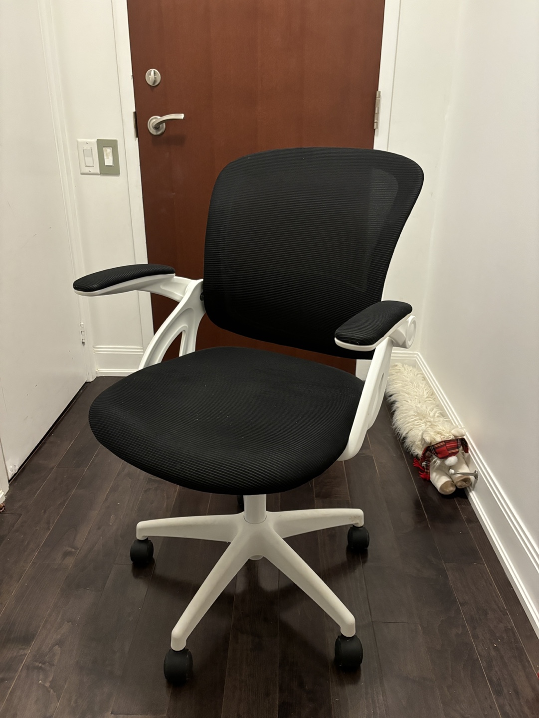 Ergonomic Office Chair