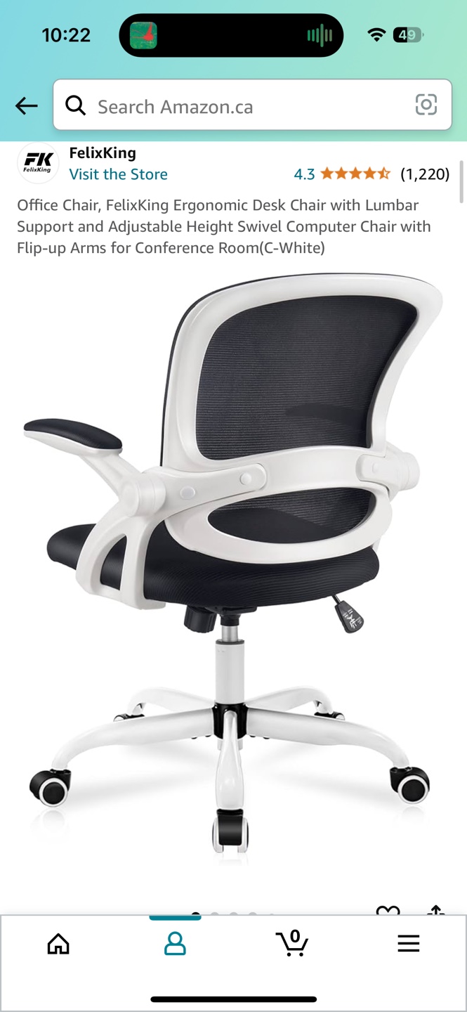 Ergonomic Office Chair - photo 2