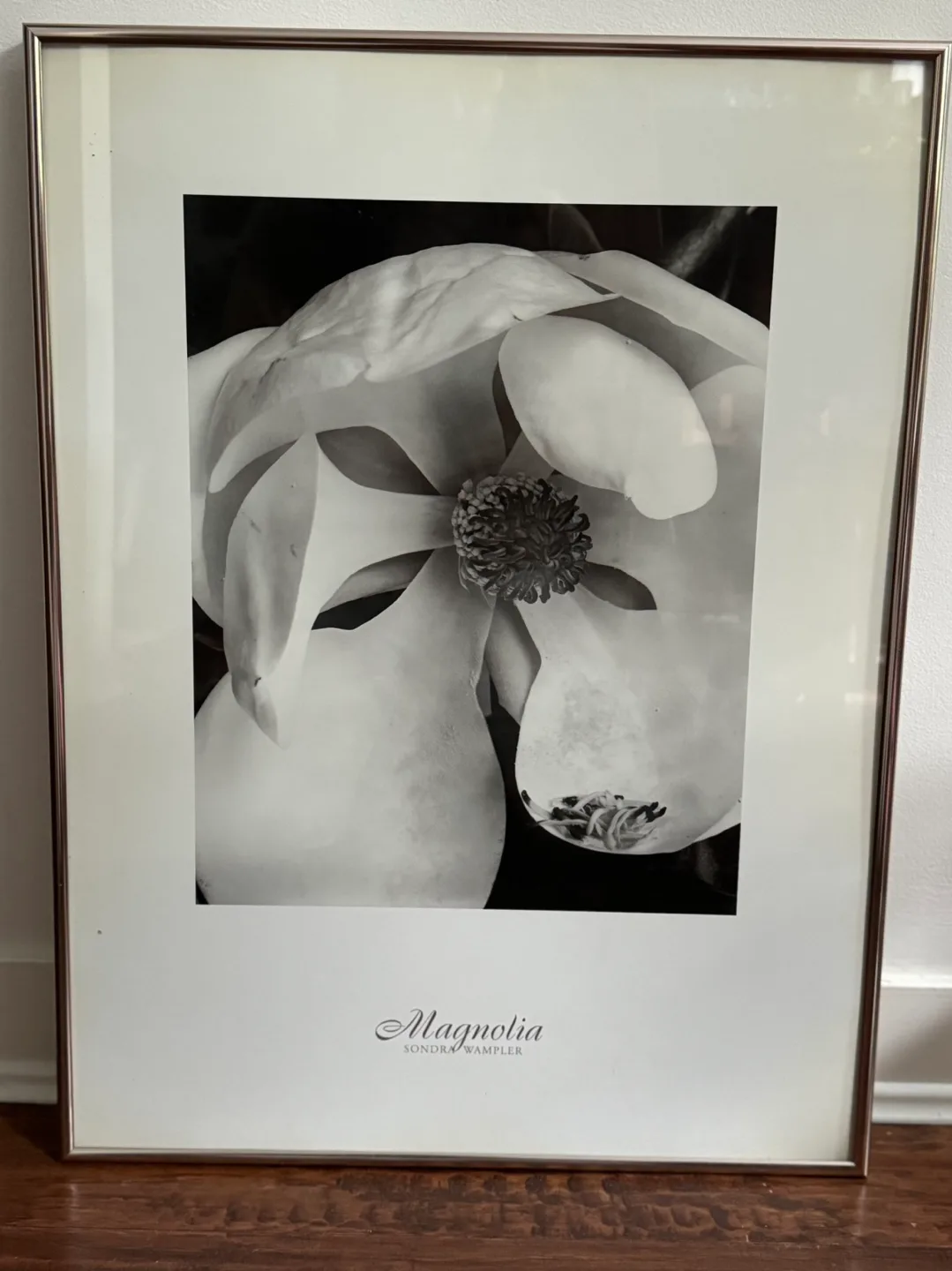 Framed Magnolia Print by Sondra Sampler thumbnail